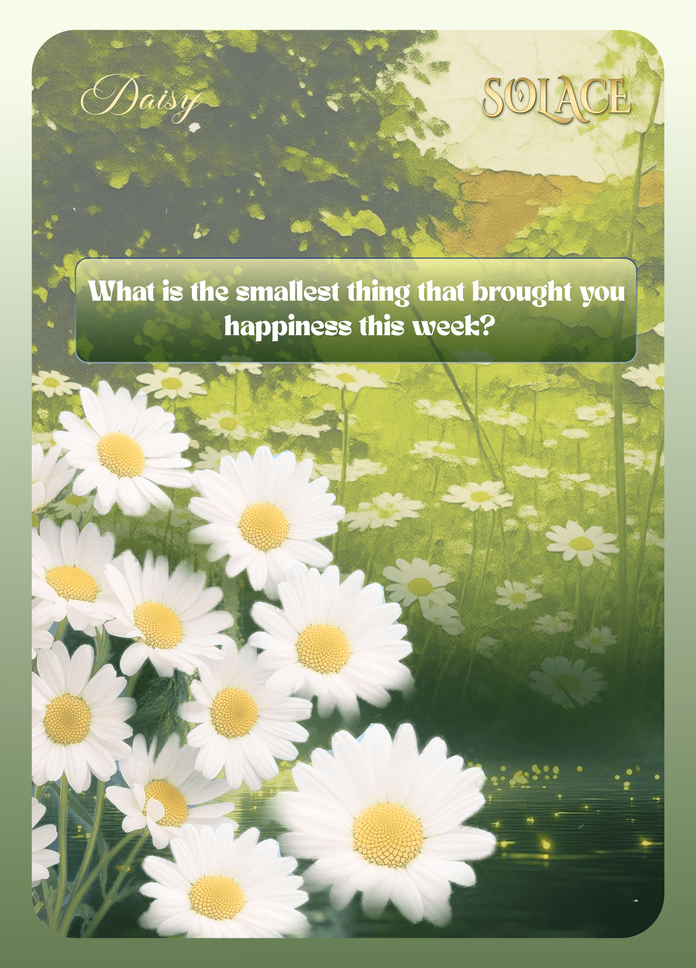 Daisy SOLACE conversation card